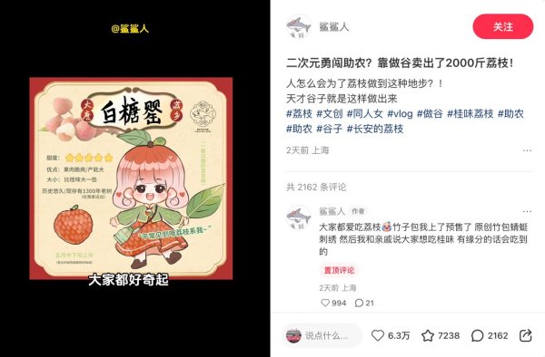 盛鹏优配 原来南方不吃妃子笑？荔枝爆火掀起小红书新一轮“南北大对账”