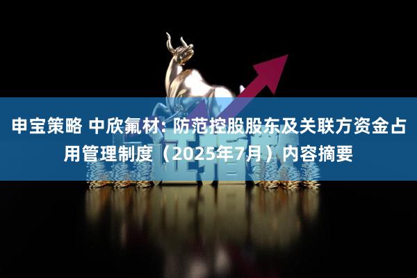 申宝策略 中欣氟材: 防范控股股东及关联方资金占用管理制度（2025年7月）内容摘要