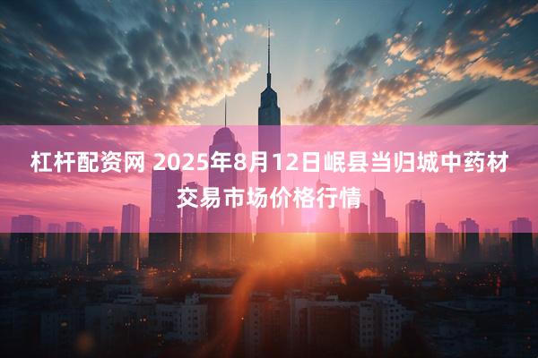 杠杆配资网 2025年8月12日岷县当归城中药材交易市场价格行情