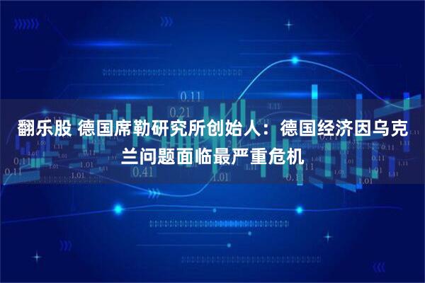 翻乐股 德国席勒研究所创始人：德国经济因乌克兰问题面临最严重危机