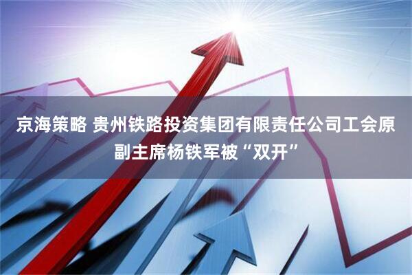 京海策略 贵州铁路投资集团有限责任公司工会原副主席杨铁军被“双开”